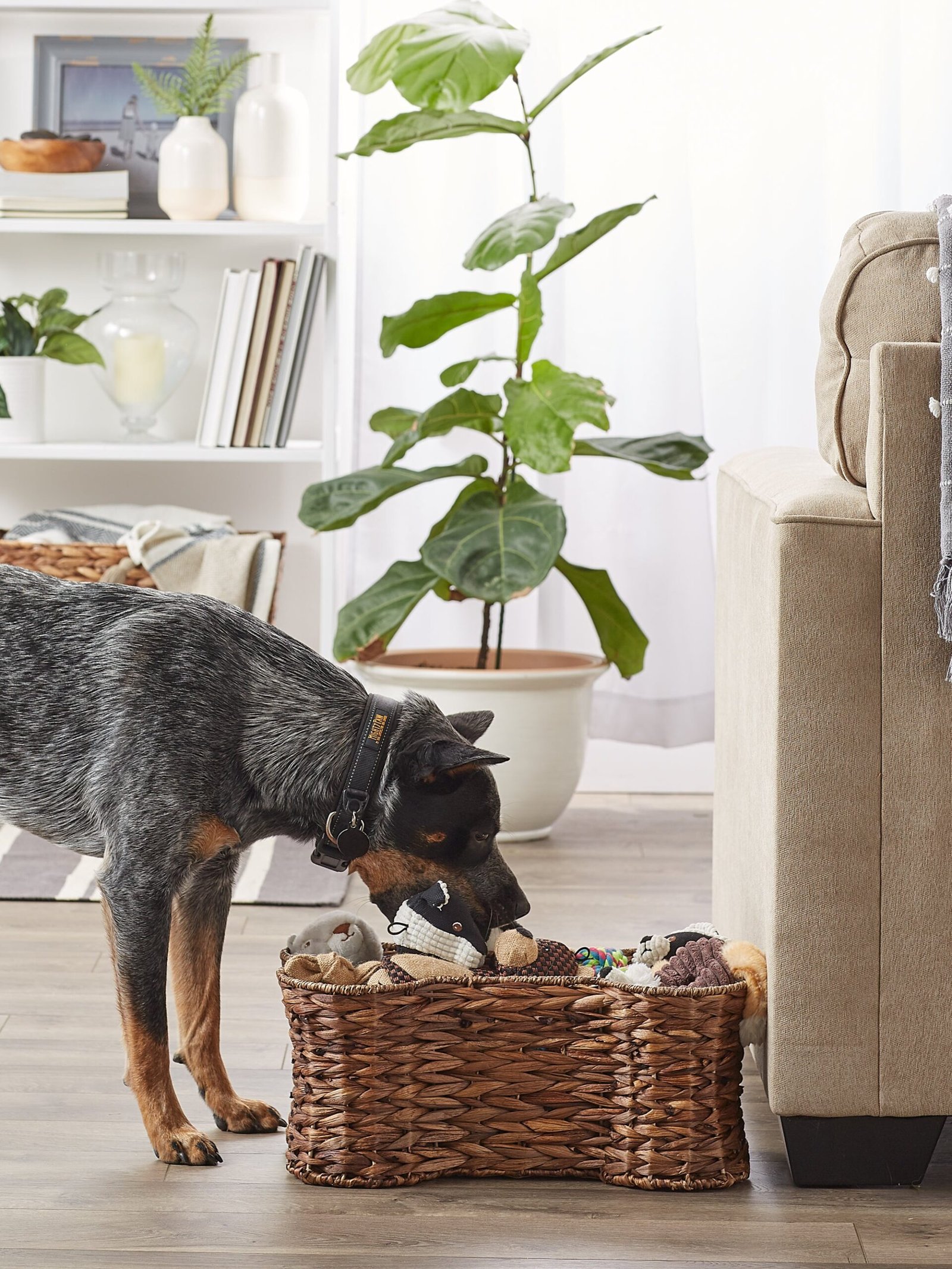 bone dry hyacinth pet storage basket, bone shaped, brown, small 17.75x11x7.5"