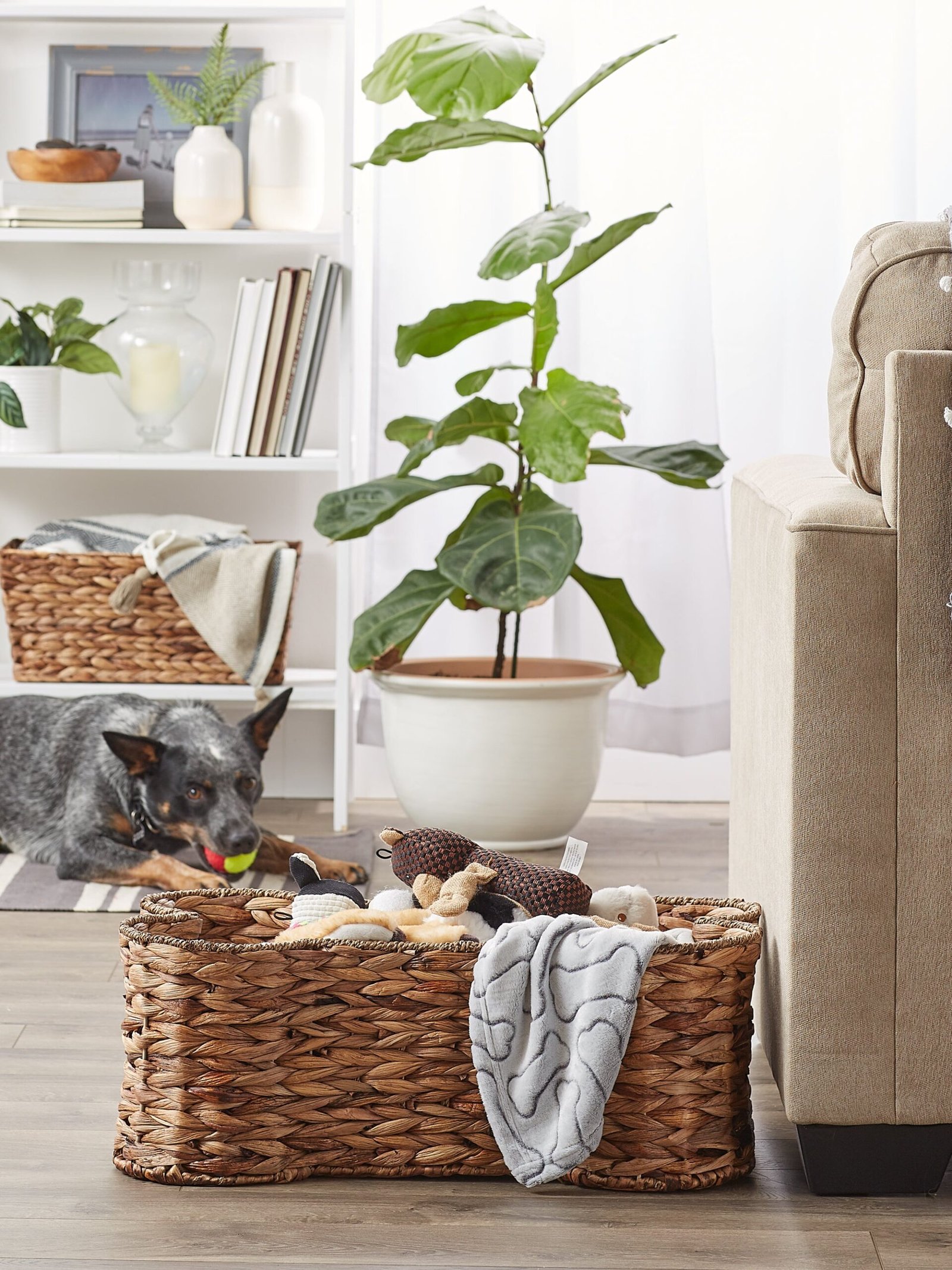 bone dry hyacinth pet storage basket, bone shaped, brown, large 24x15x9"