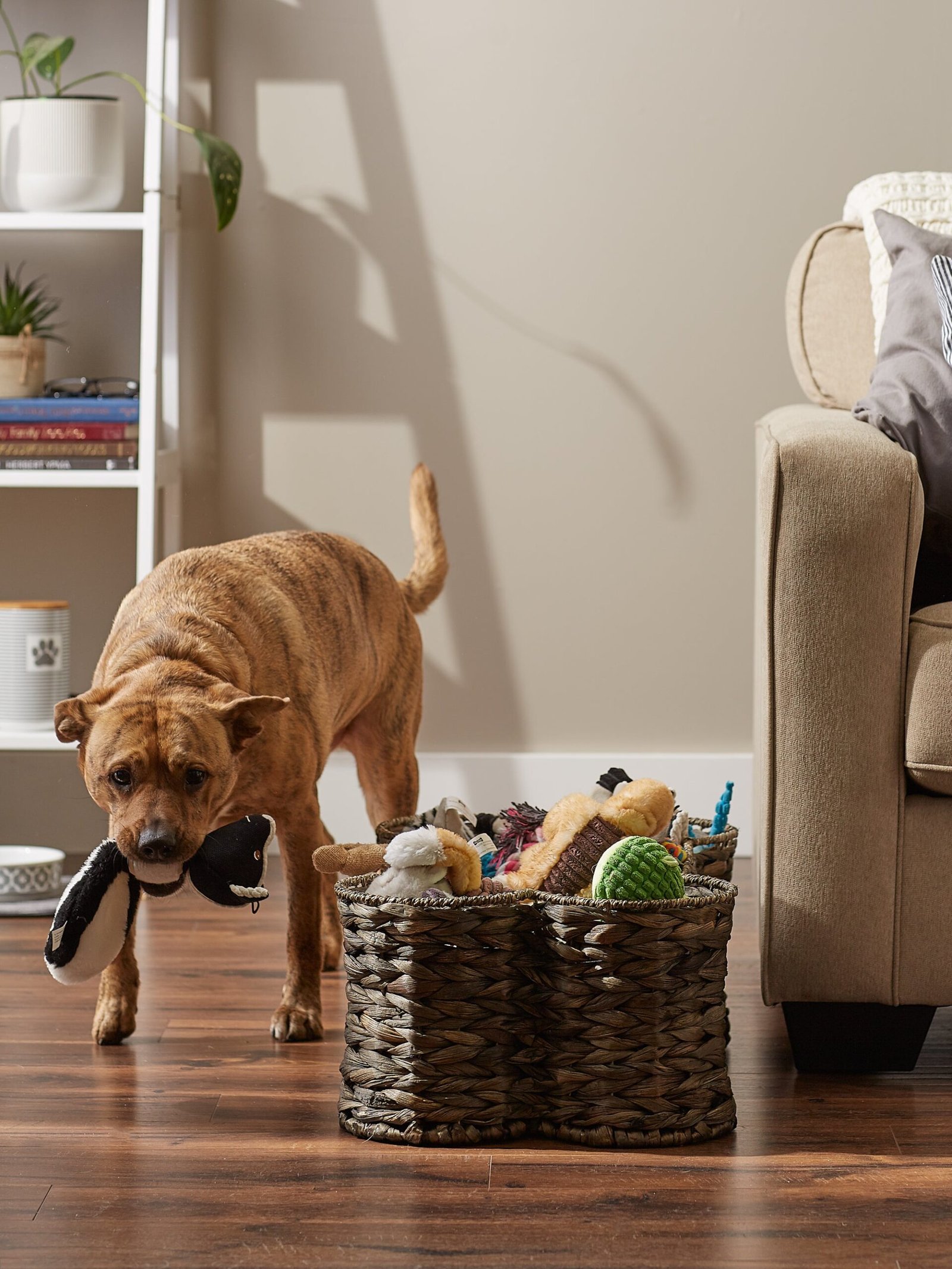 hyacinth pet storage basket, bone shaped, dark brown, medium 21x13x8"