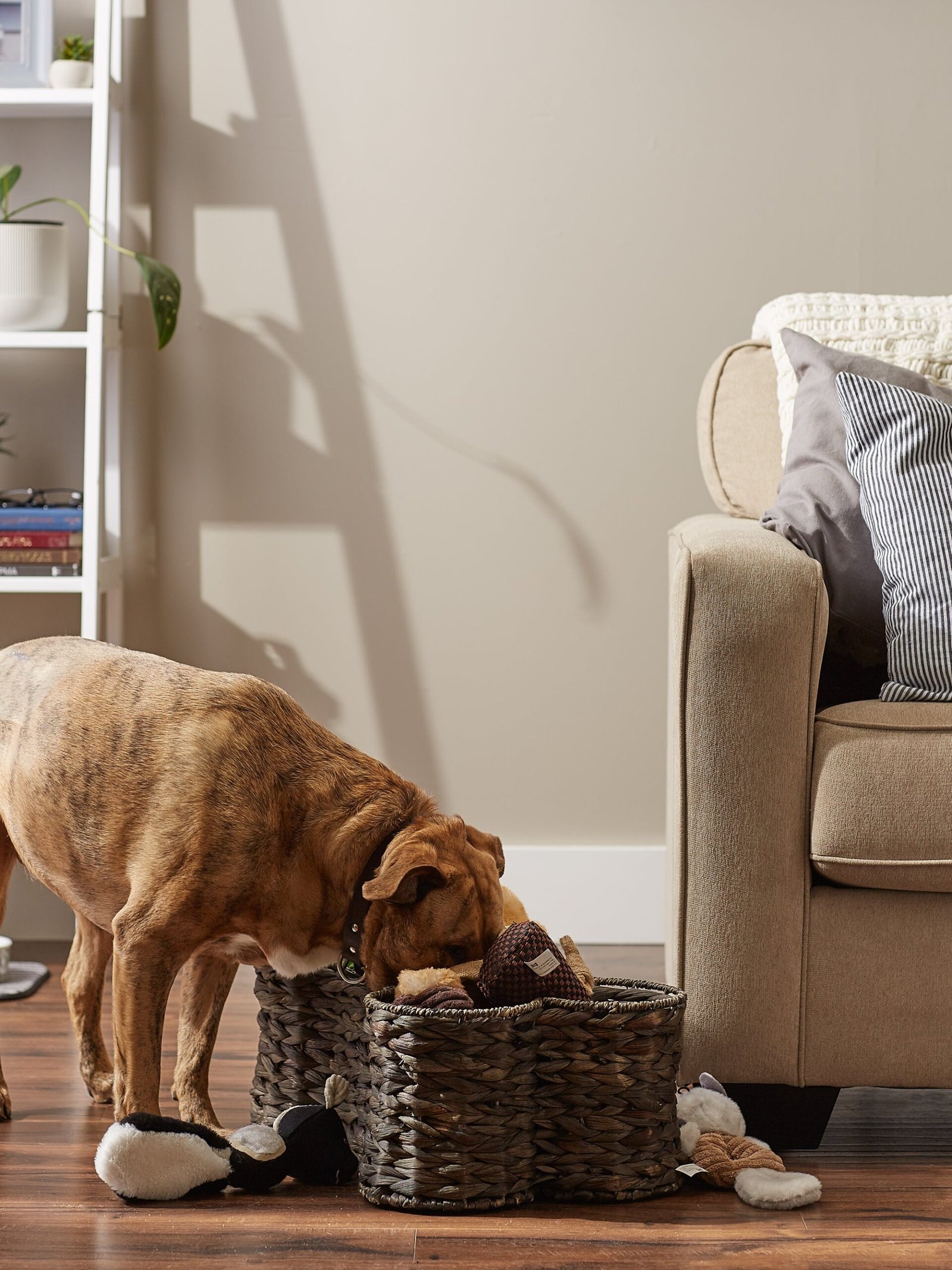 hyacinth pet storage basket, bone shaped, dark brown, medium 21x13x8"