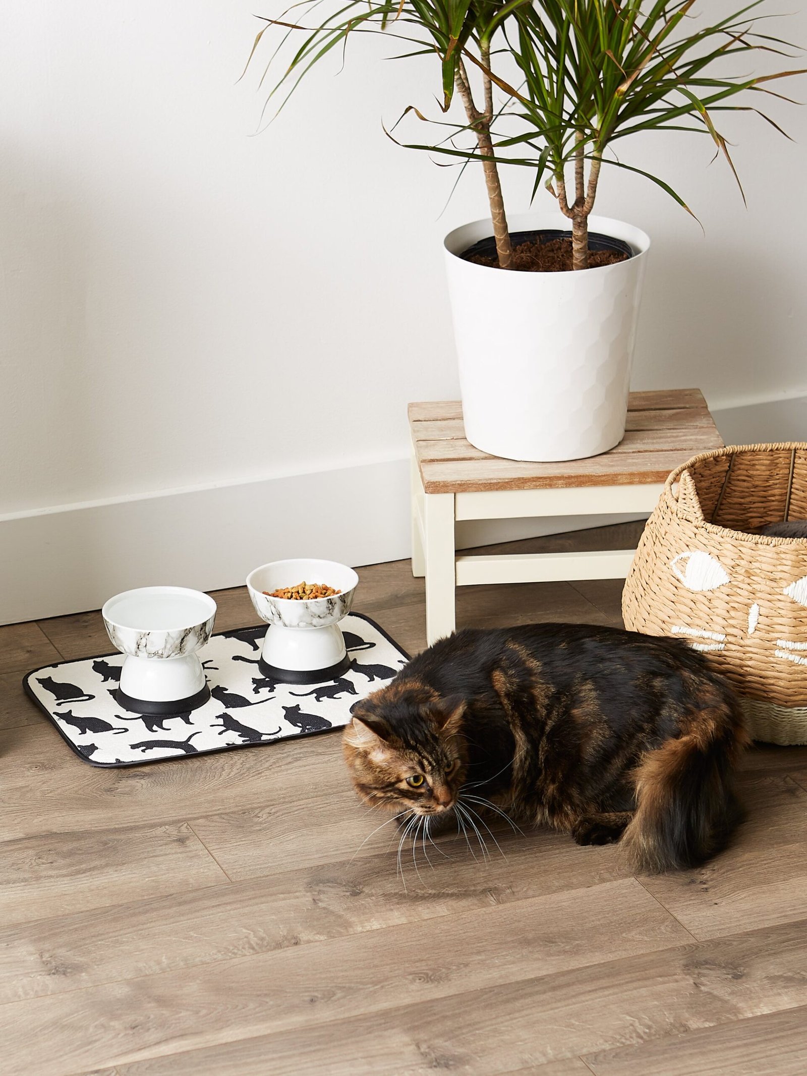 cat silhouette pet mat