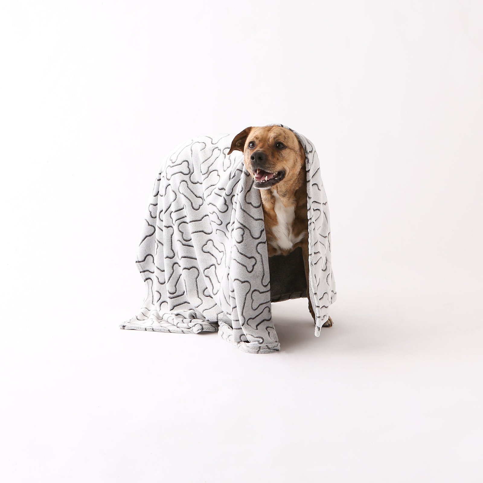 bone dry fleece pet blanket, embossed bone print, black 36x48"