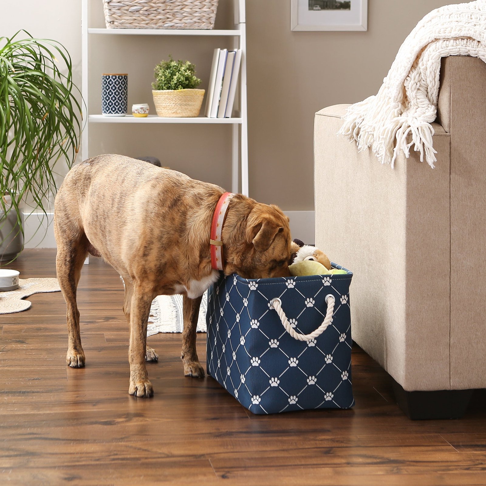 bone dry collapsible pet storage bin, trellis paw print, navy, medium 16x10x12"