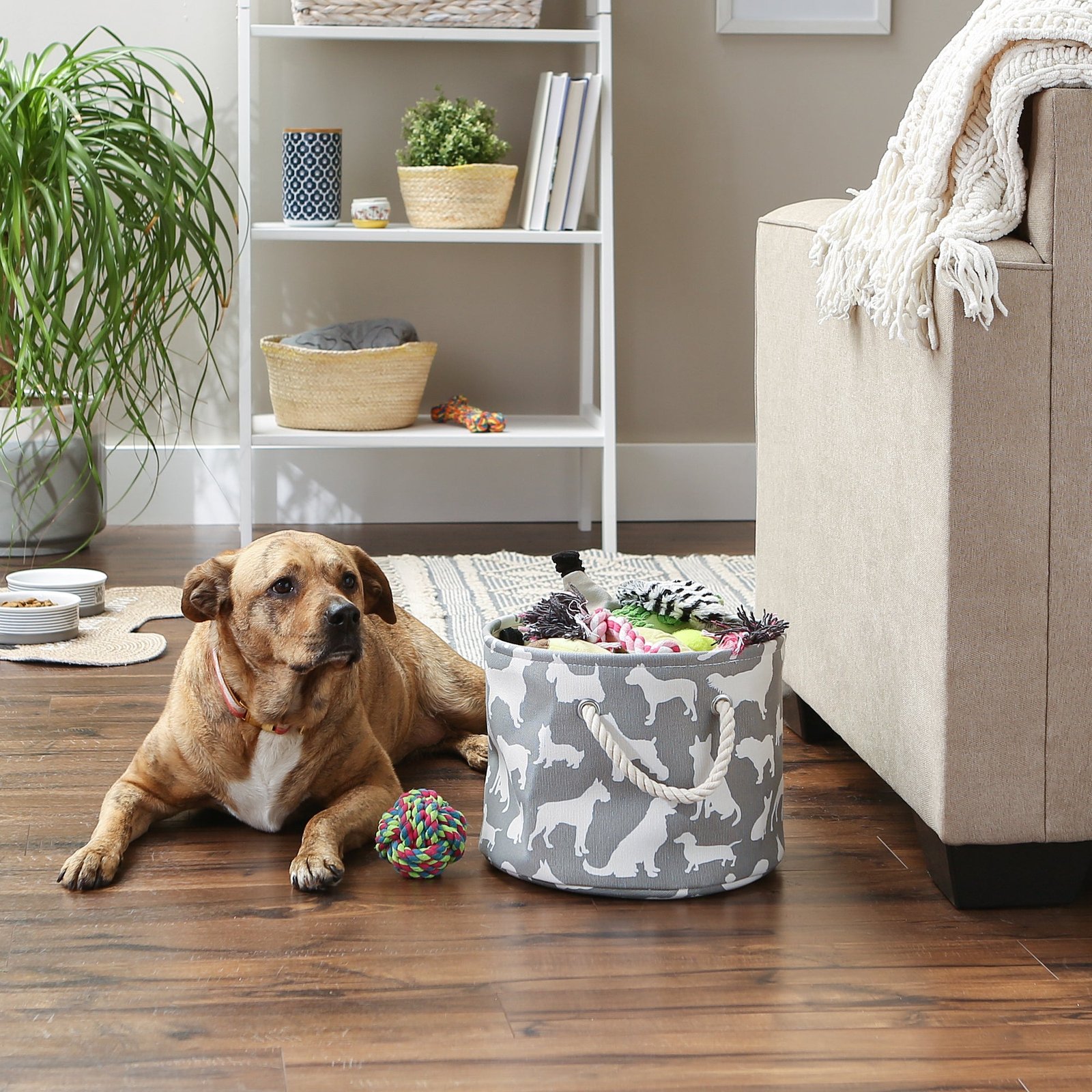 collapsible pet storage bin, dog show print, gray, small round 9x12"