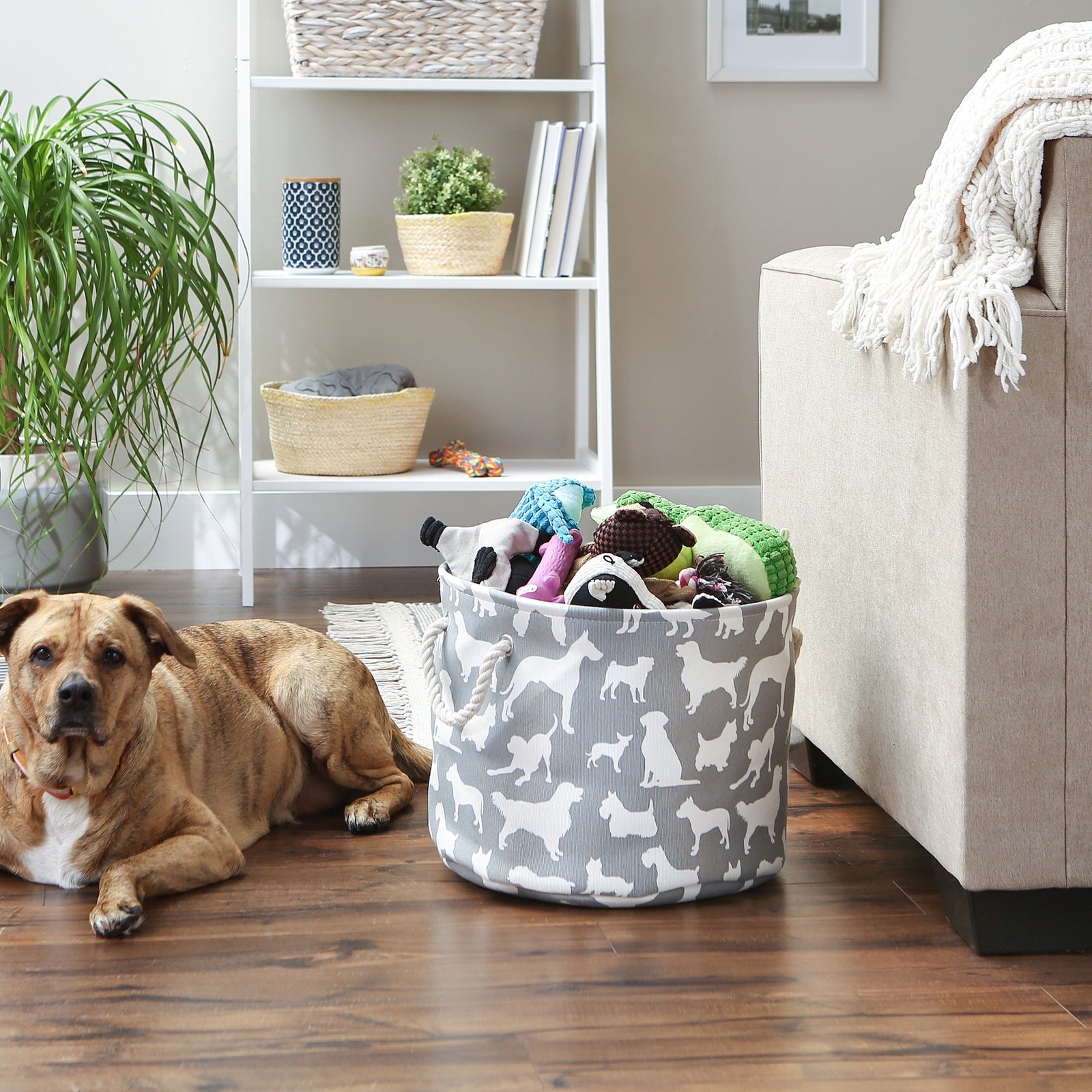 collapsible pet storage bin, dog show print, gray, medium round 12x15"