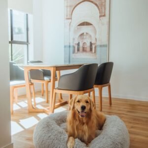 0d4a5576 538ae504 4404 4f49 a9a2 ca9dc1d80693.jpg