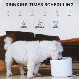 2000x2000 water listing image purrflow smart pet water fountain 02.jpg