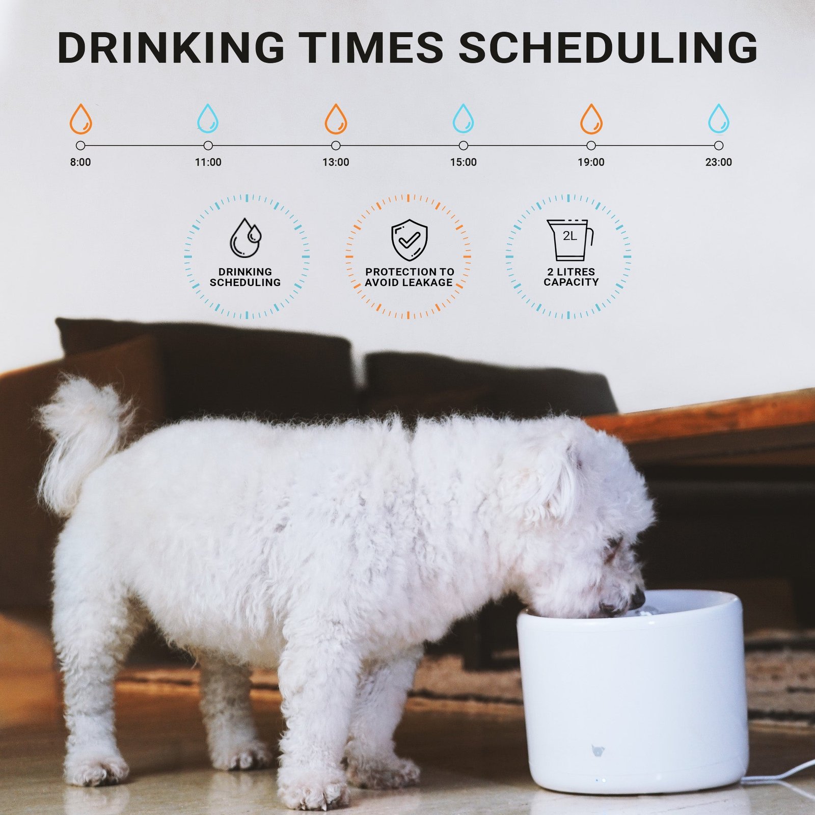 2000x2000 water listing image purrflow smart pet water fountain 02.jpg