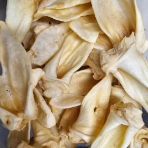 import placeholder for 8822036234455