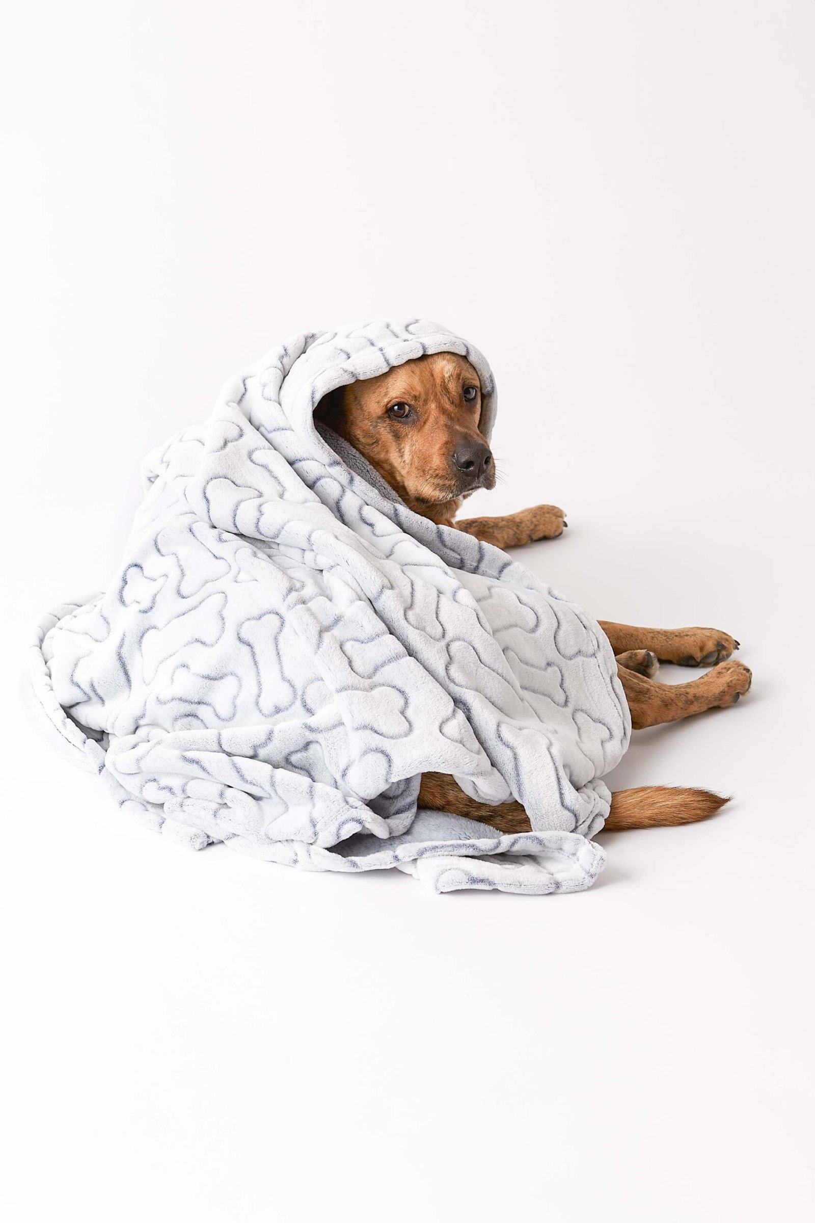 bone dry fleece pet blanket, embossed bone print, gray 36x48"