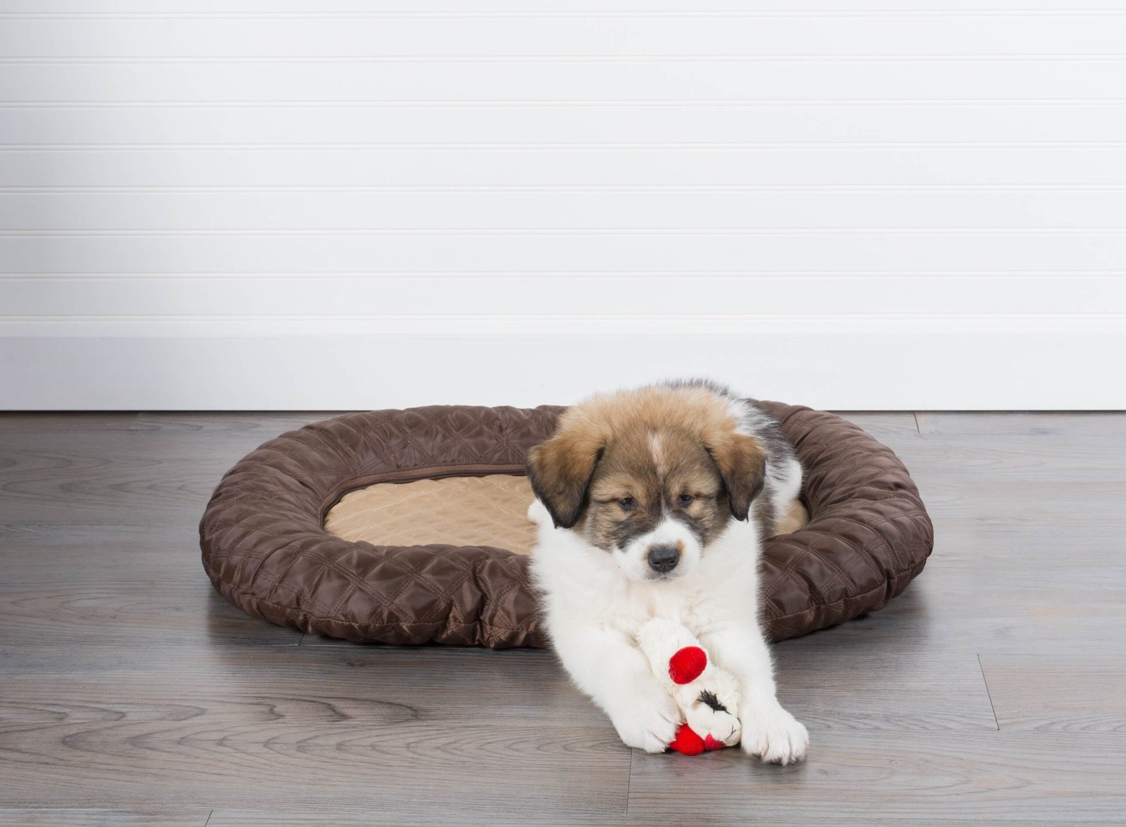 bone dry pet bed/mat, quilted border cushion, brown, medium 20x28"