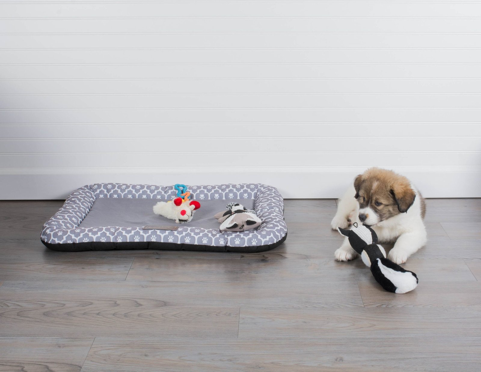 bone dry pet bed/mat, lattice paw print border cushion, gray, medium 20x28"