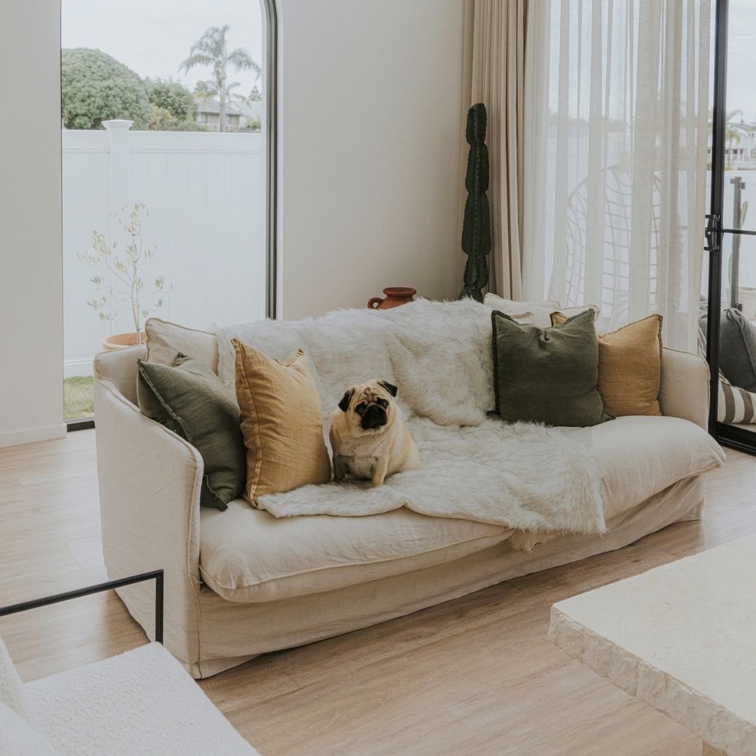 blanket deluxedogthrow4 c857d331 fd45 4d04 b239 b595c39e0f8f.jpg