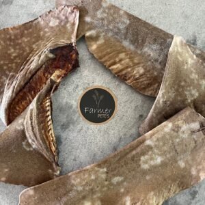 import placeholder for 7001975095478