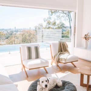 dalmation 3 b6796e7e 1443 463b 9f74 646177feeeea.jpg