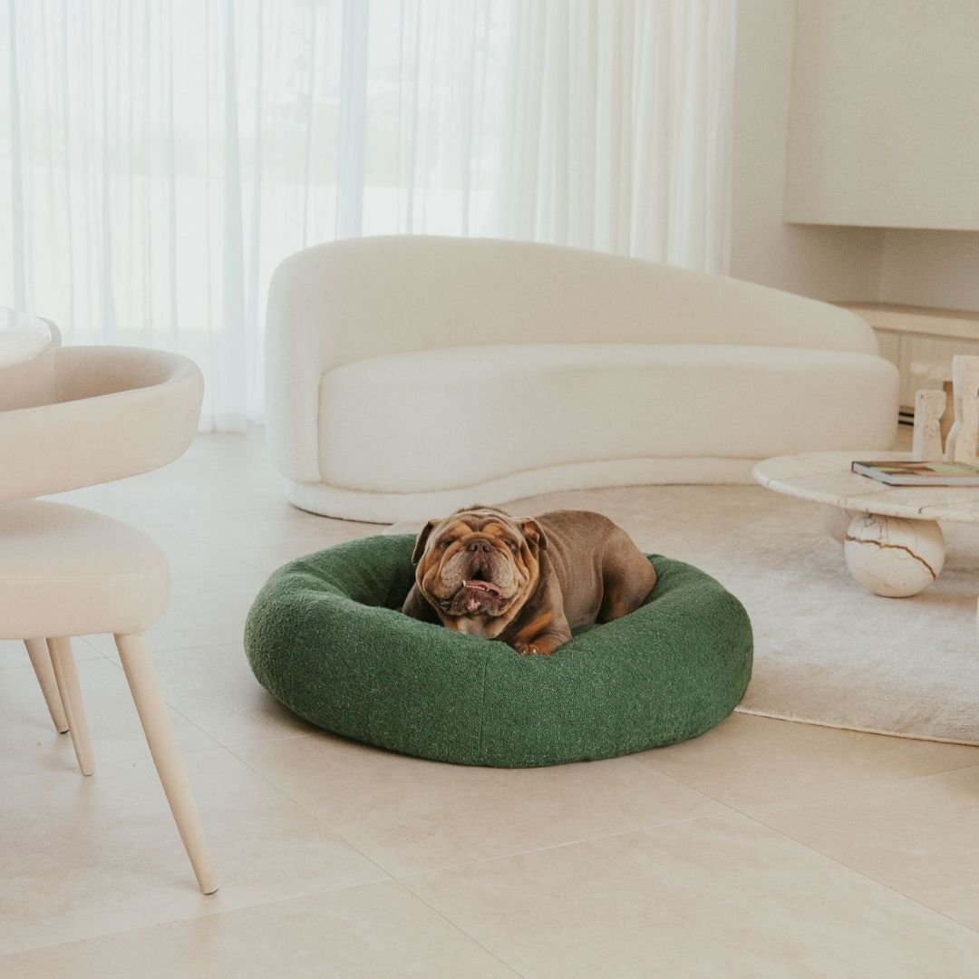 dogbeds luxuryboucledogbed covers6 068d56cc c499 4343 a472 66c7c49408f1.jpg