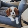 dogbeds premiumdogcarbed1.jpg