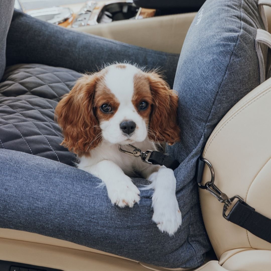 dogbeds premiumdogcarbed1.jpg