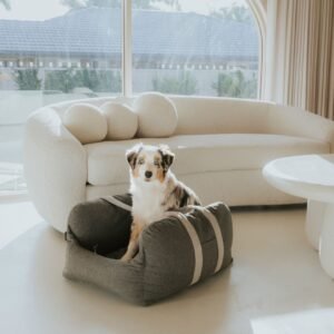 dogbeds premiumdogcarbed10.jpg