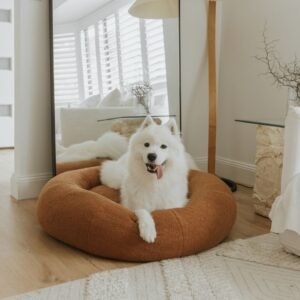 dogbeds premiumteddy5 b3feceb7 fbd4 40a2 9897 347d8cecab25.jpg