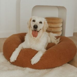 dogbeds premiumteddy7.jpg