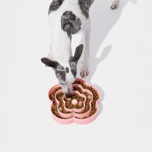 florasiliconepetslowfeeder 02.jpg