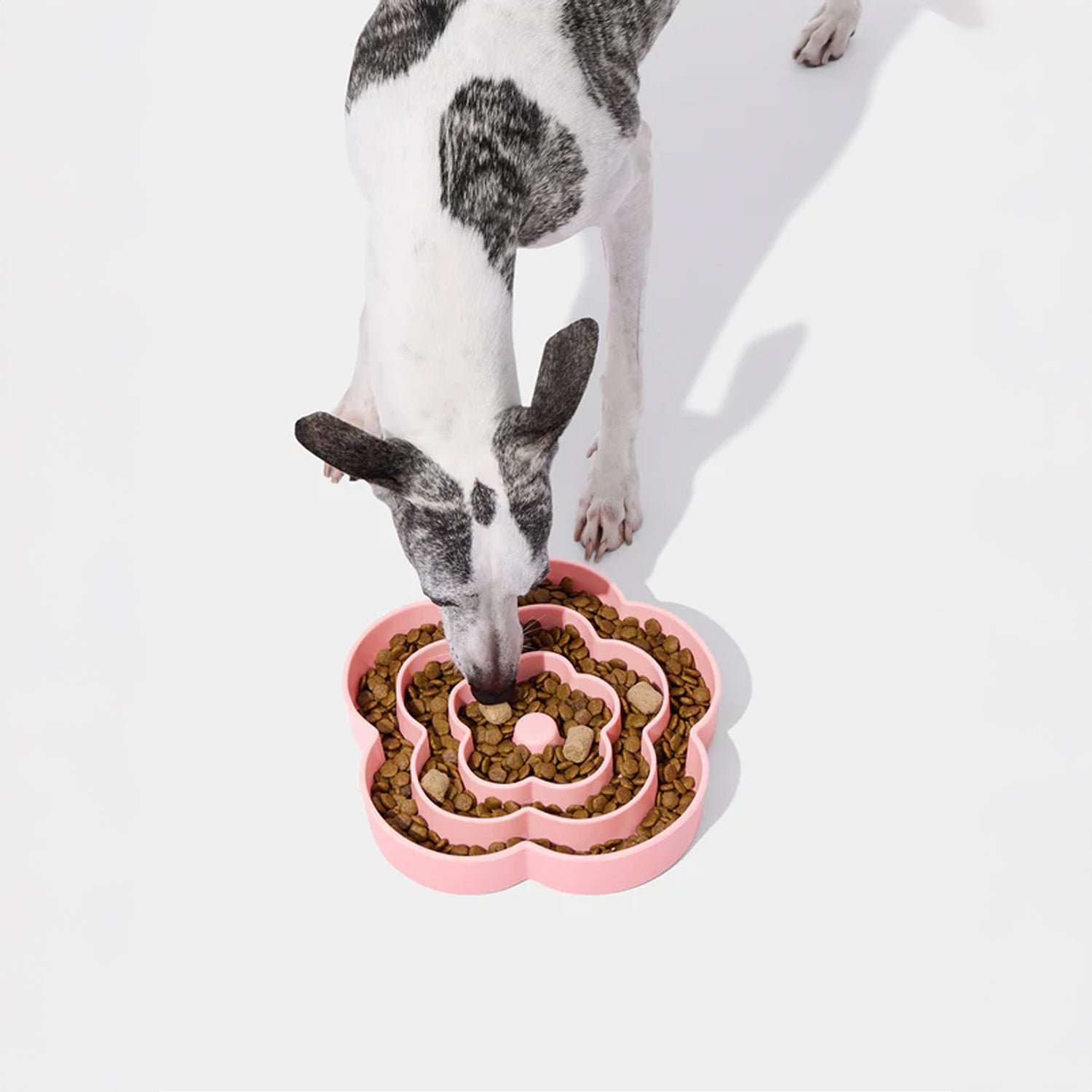 florasiliconepetslowfeeder 02.jpg