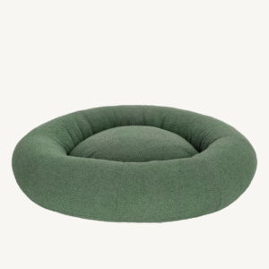 green boucle 7695ca14 6982 4873 910e 222e4681c462.png