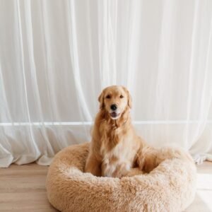 lunabeigelargesecondlastphoto 046c90ad b493 47ff 9f6f 95074d83c21d.jpg