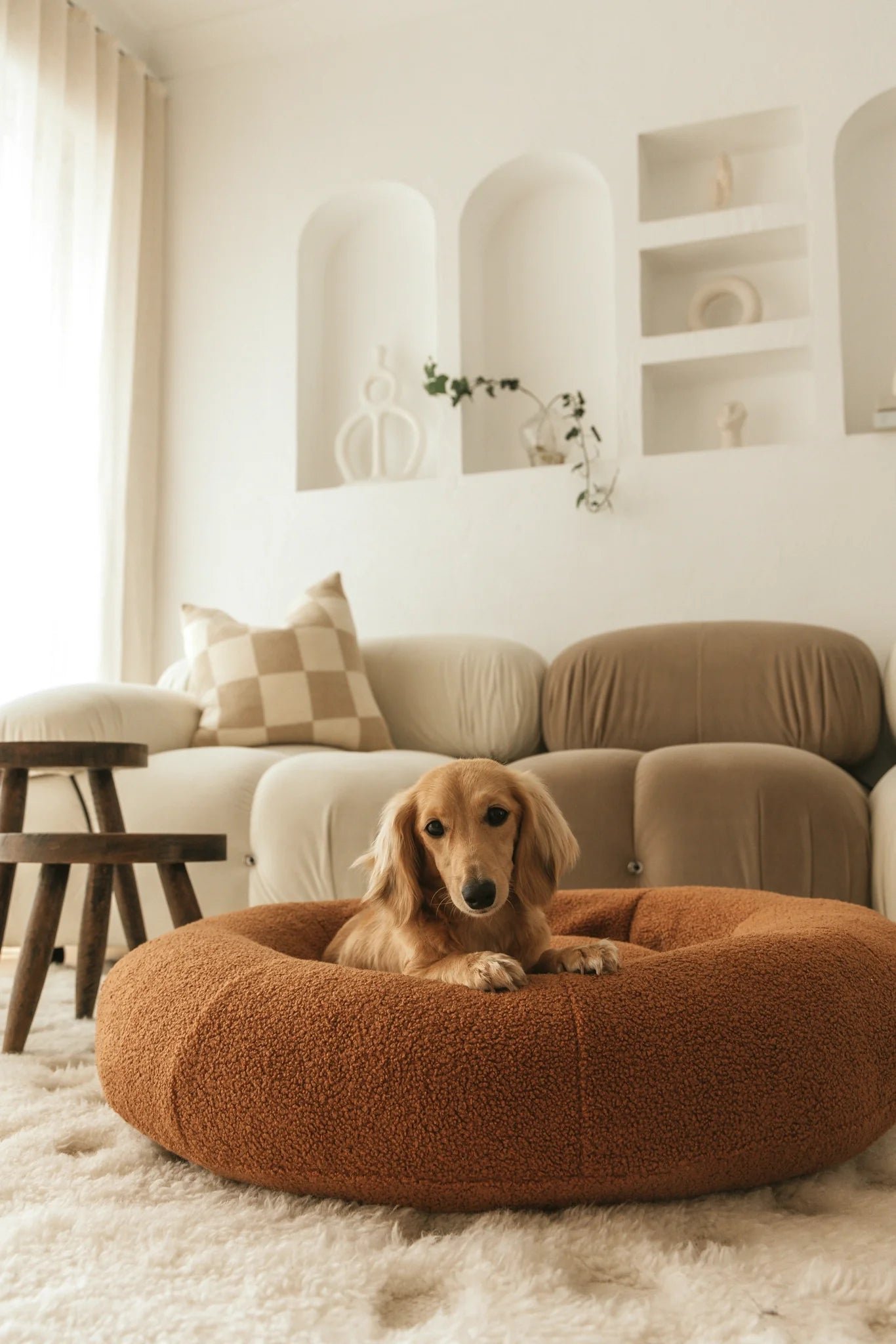 productimage1 39d2bdff 8730 4430 972d 2ed5714ed694.jpg