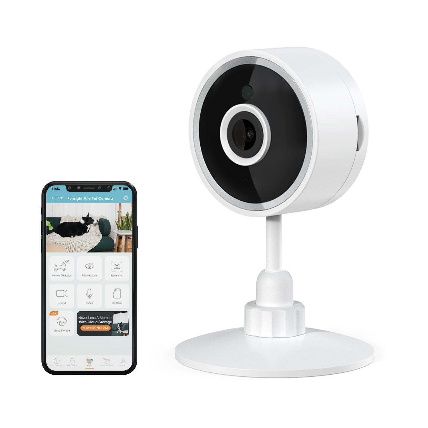 purrsight mini 01.jpg