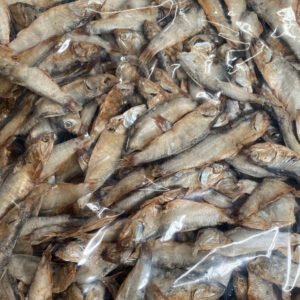 import placeholder for 8676703862999