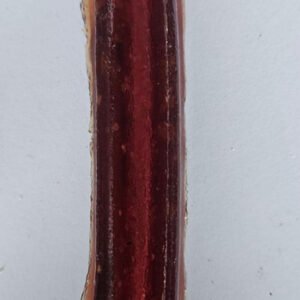 beef bone marrow chews small