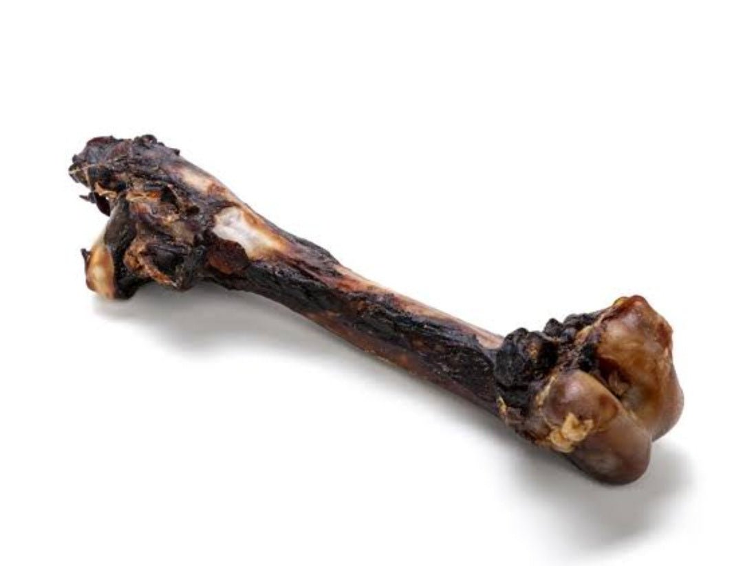 kangaroo bones