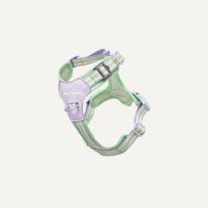 best dog harness 841046.jpg