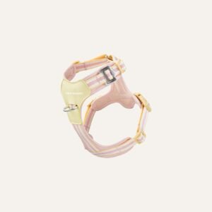 best dog harness 993030.jpg