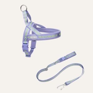 dog harness set purple 519829.jpg
