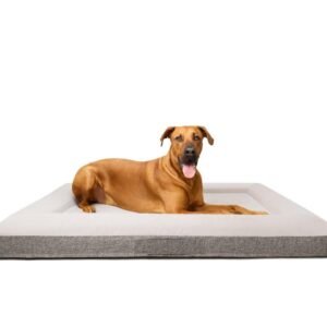 fur king ortho orthopedic dog bed 359109 87d6fc58 813a 45a0 b23e 6ad08439ef25.jpg