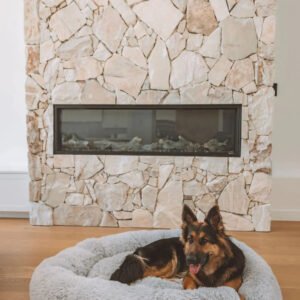 germanshepherdlightgrey 24 1080x 72c6b6c7 06cc 4e28 8c16 e480ba850786.jpg