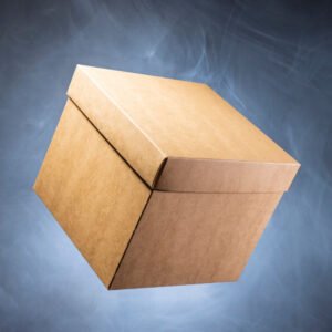 import placeholder for 8252236955861