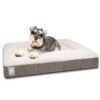 orthopedic dog bed 359147 ba487b7a c3fd 4237 a185 27fd7f2346b6.jpg