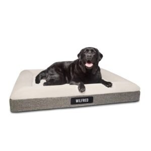 personalised orthopedic dog bed 609078 a7f2b345 ab08 4a54 aad6 50264131f555.jpg